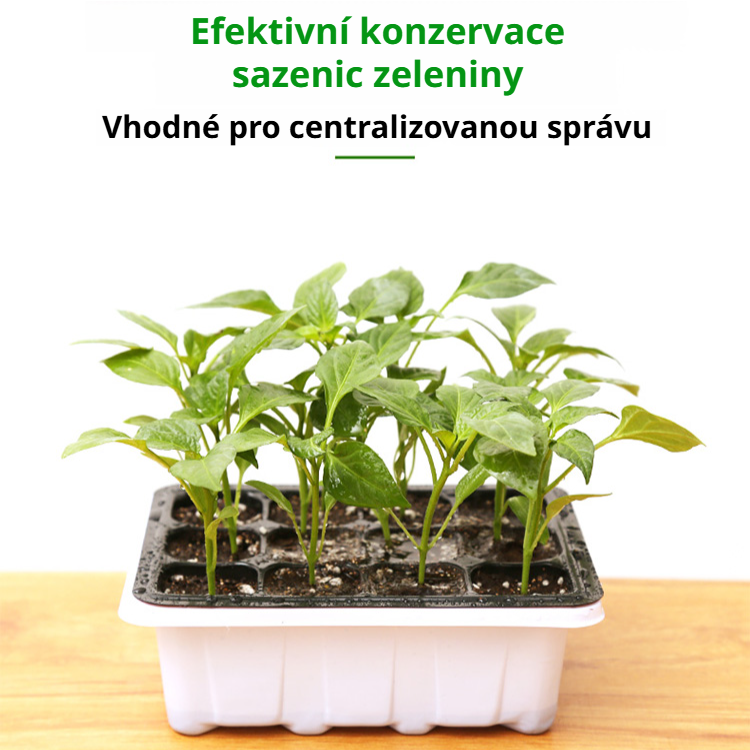 12 Plastový sadbovač s otvory