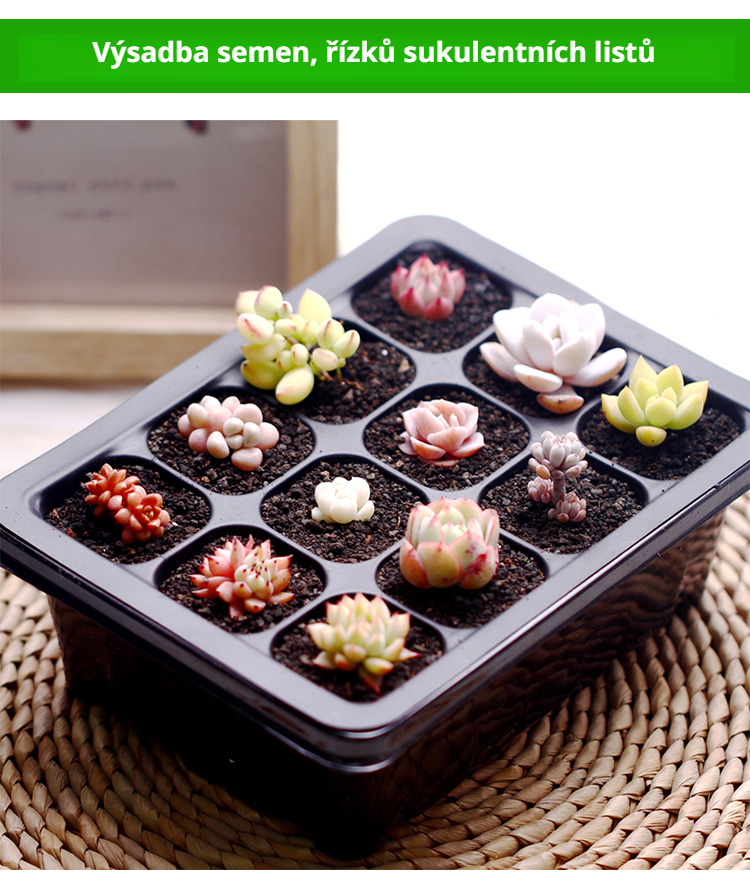 Sadbovač s otvory vhodný pro bylinky a zeleninu