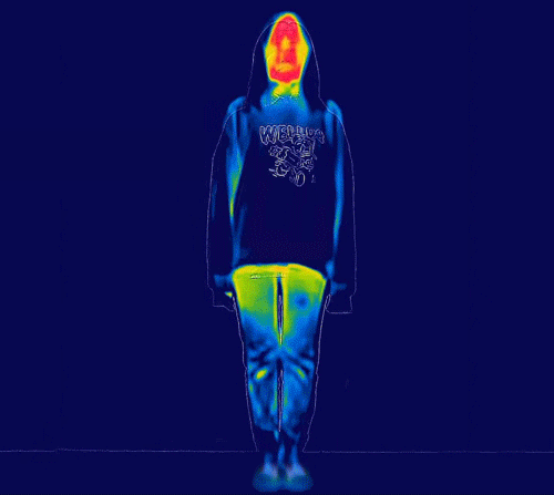 11.gif