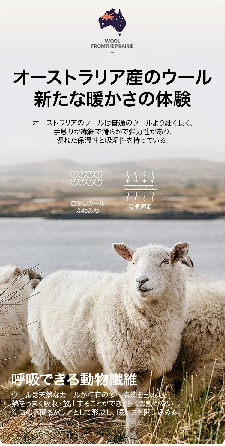 02.webp