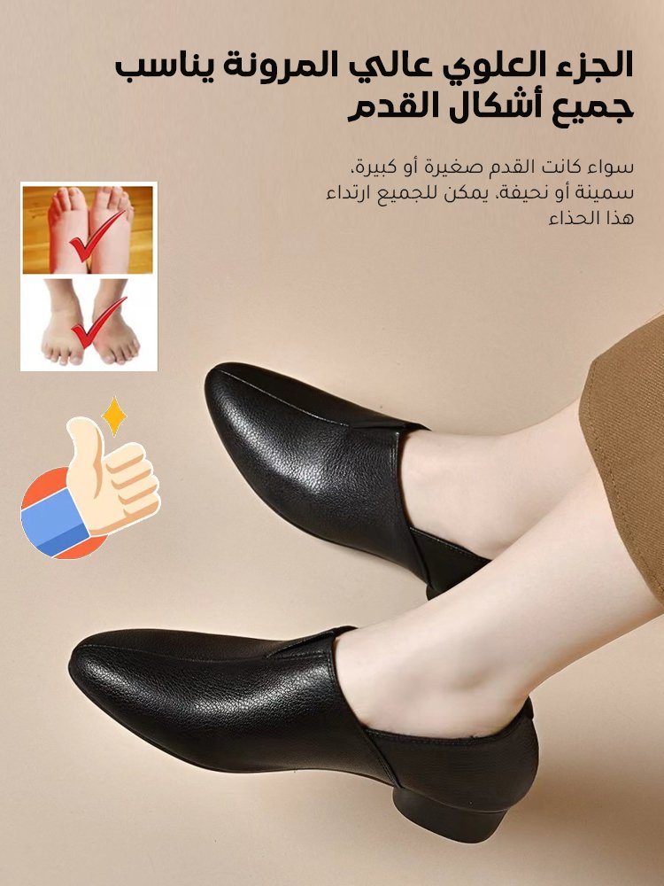 حذاء أنيق بكعب منخفض مع مقدمة مدببة