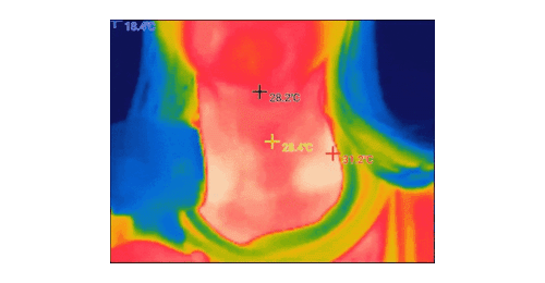 风扇_15.gif