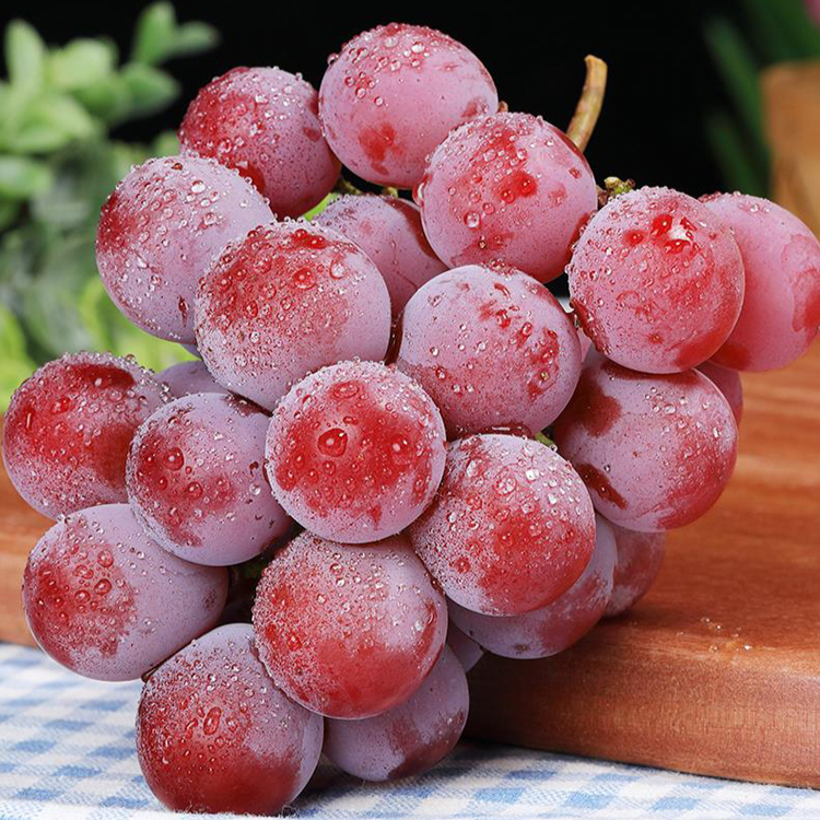 【Naturally Aromatic】Queen Nina Grape Seeds