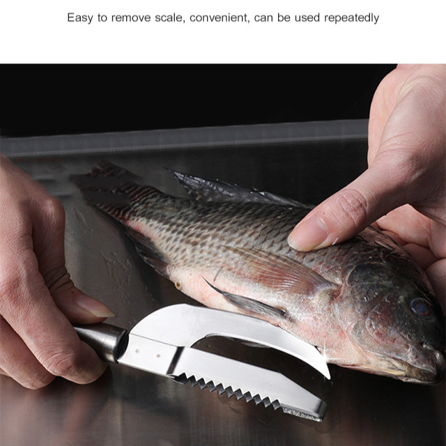 Stainless steel round handle multi-purpose fish scaler remover knife