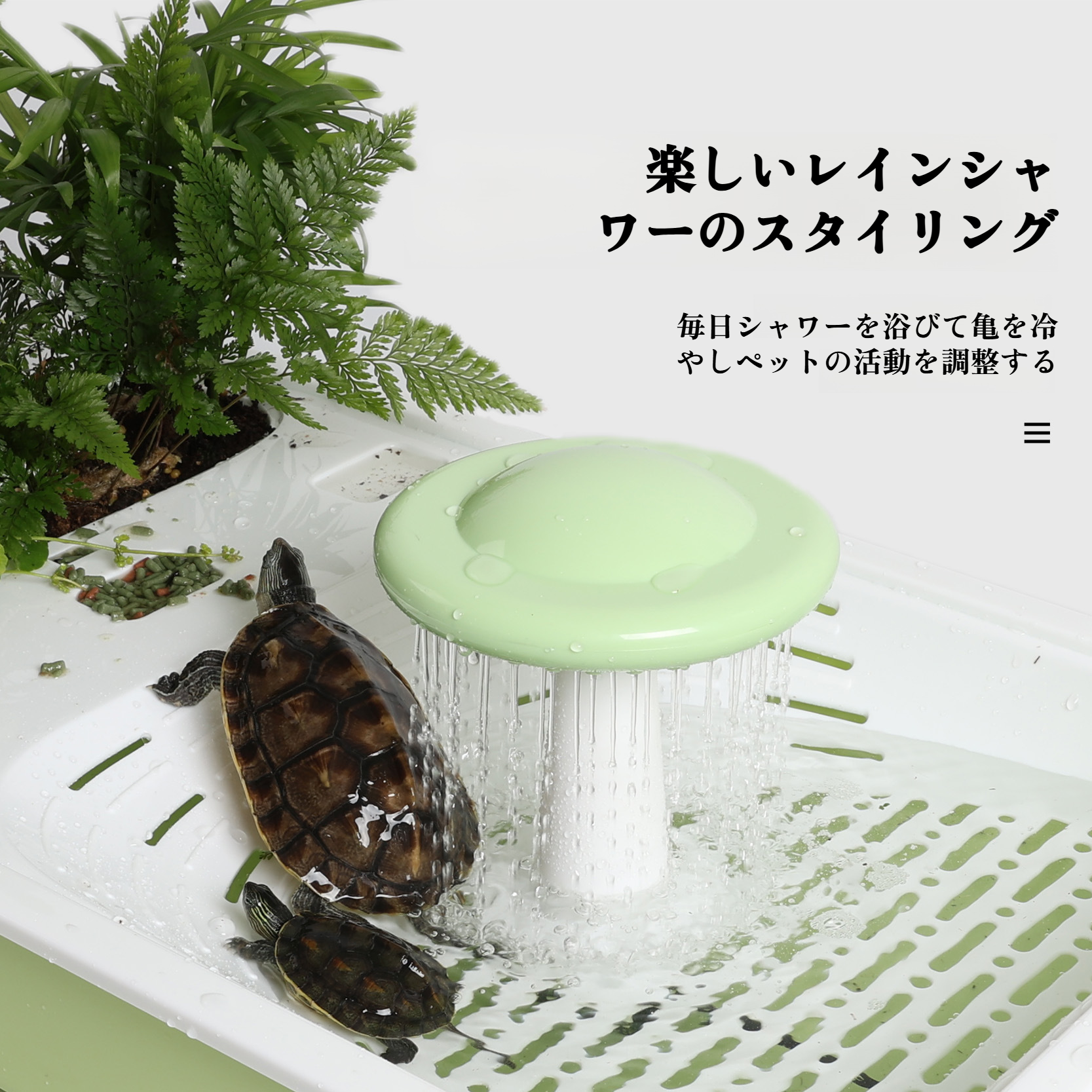 カメ専用水槽 家庭用カメ水槽 カメ日光浴プラットフォーム 登山プラットフォーム カメ用洗面器 脱走防止 別置きカメ用洗面器 プラスチック製カメ飼育箱