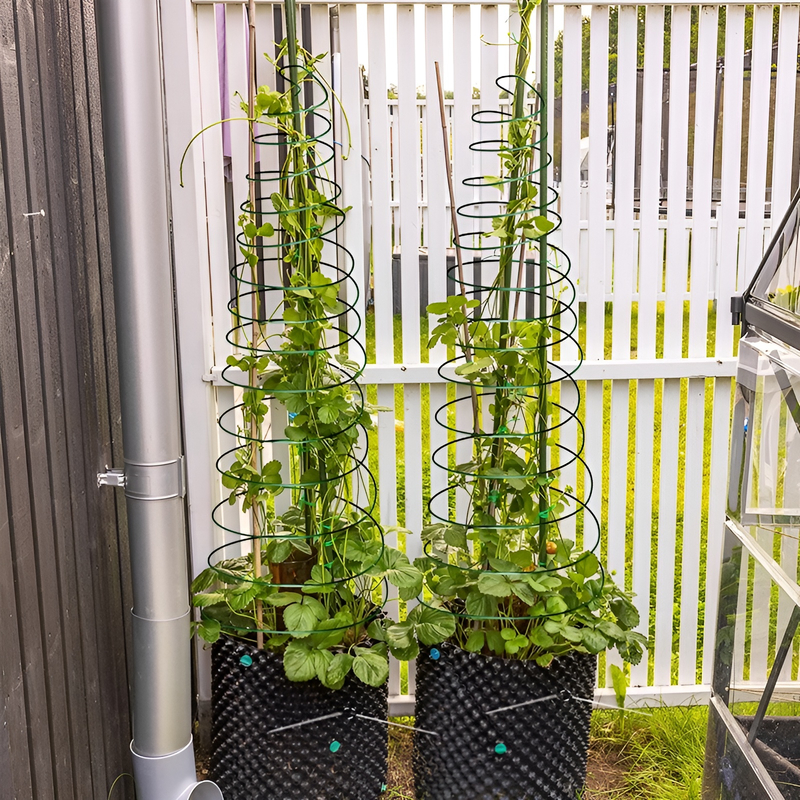 花園螺旋形支架
