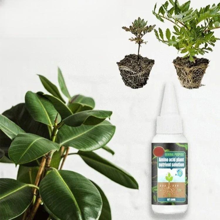 식물 뿌리 영양제