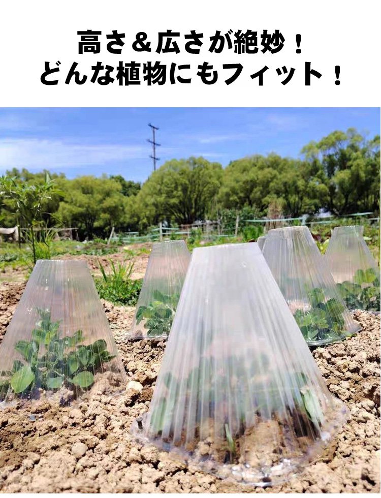 インテリアとして映える透明プラントカバー