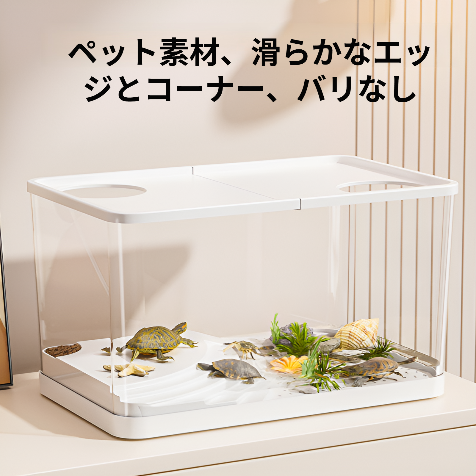 おしゃれなインテリアとしての生態水槽