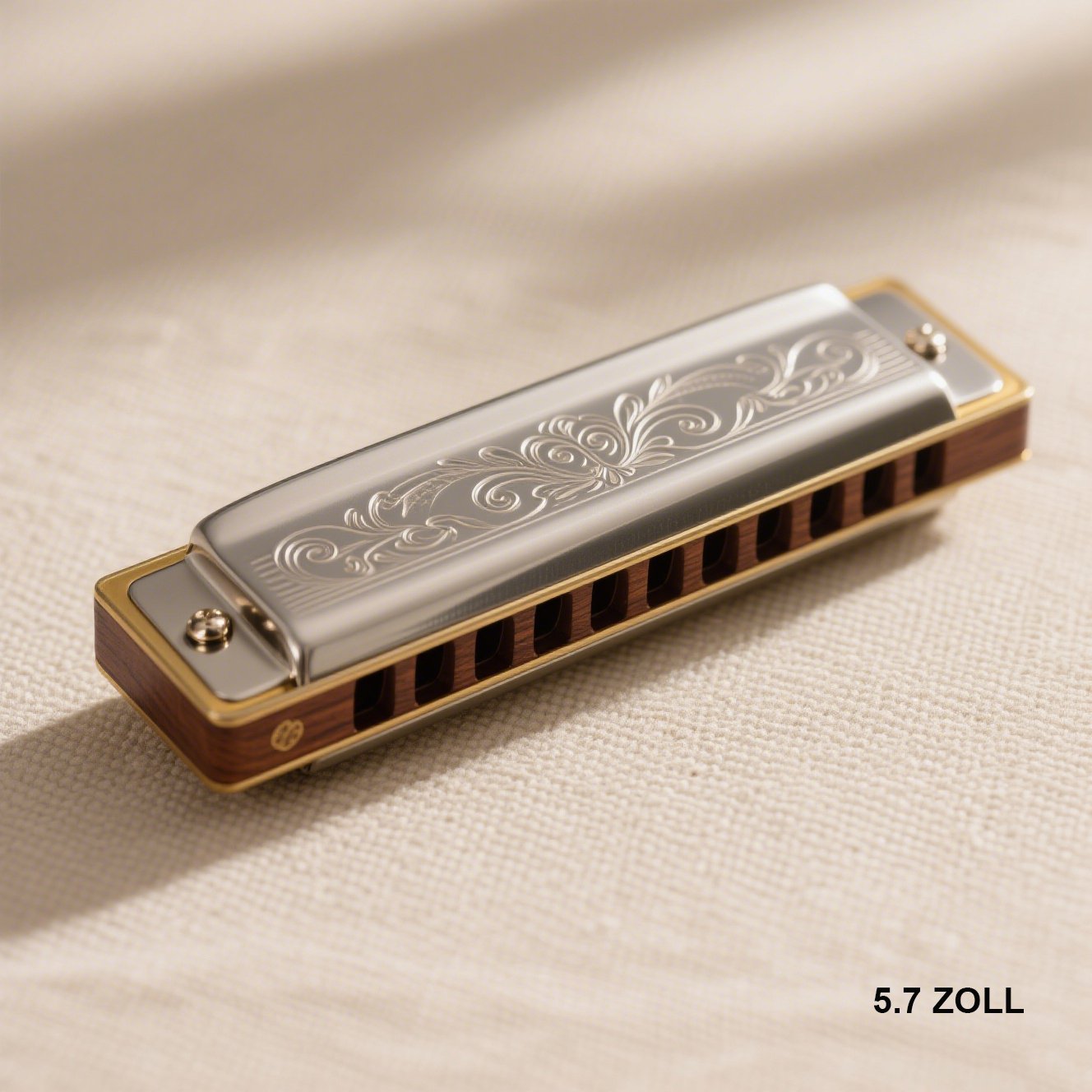 Chromatische Mundharmonika mit Etui – Komplettansicht