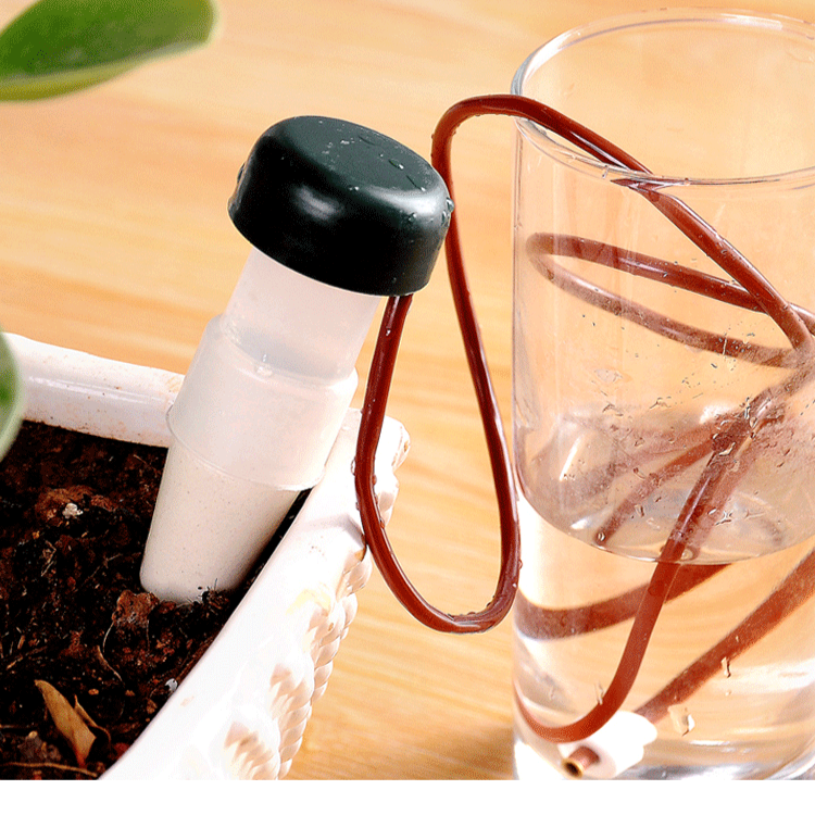 Sistema de Riego Automático para Personas Perezosas