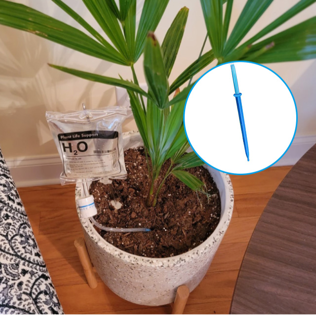 Domácí automatický zavlažovací stroj