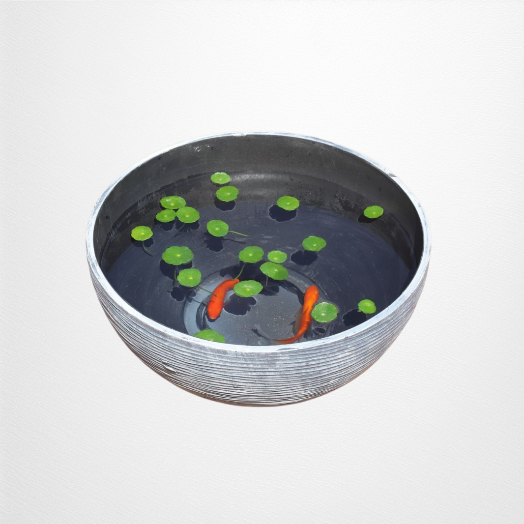 وعاء اللوتس لحوض السمك