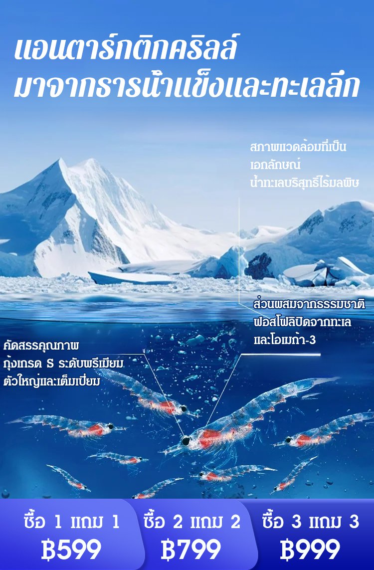 【คืนหลอดเลือดที่แข็งแรงให้คุณใน 15 วัน】แคปซูลน้ำมันคริลล์แอนตาร์กติก