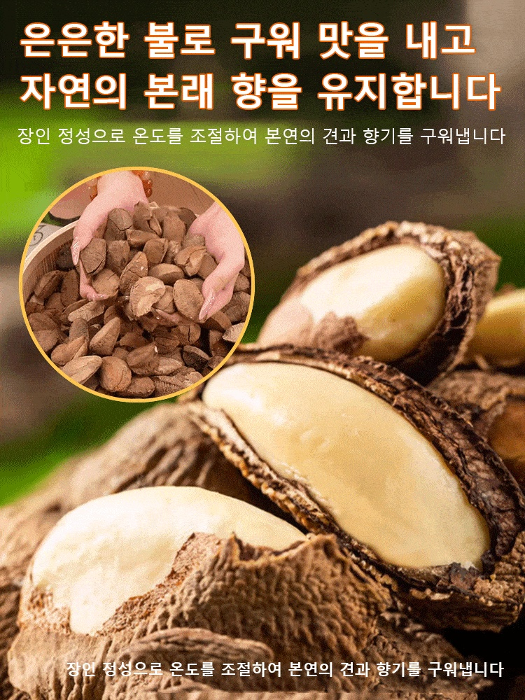 신상 오리지널 간 보호 브라질너트