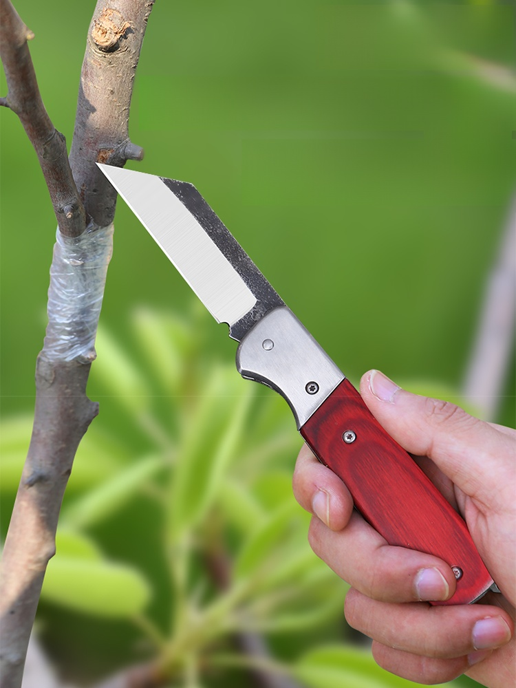 Klappbares Pfropfmesser mit Holzgriff