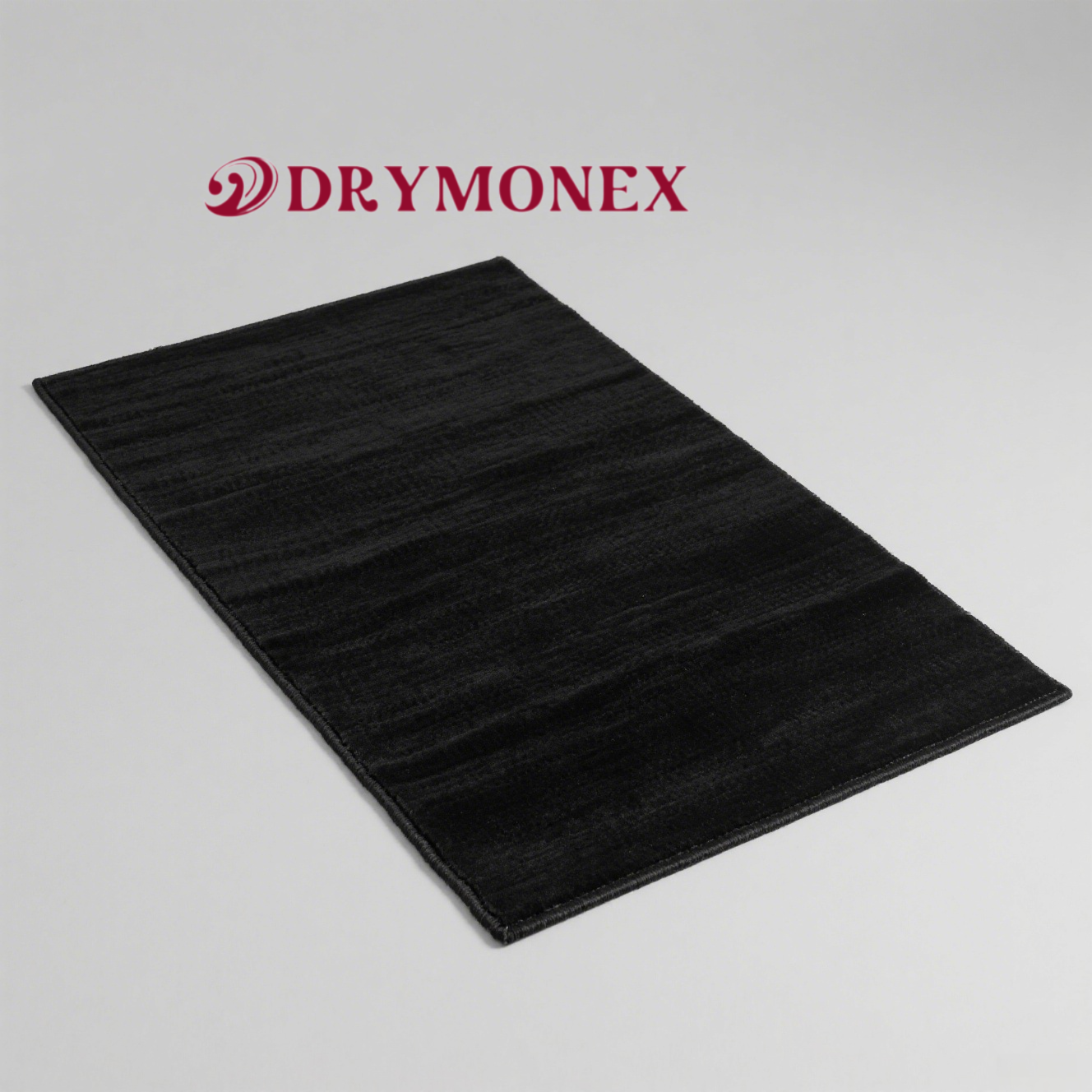 イタリア風高級ミニマリストブラックカーペット全体画像