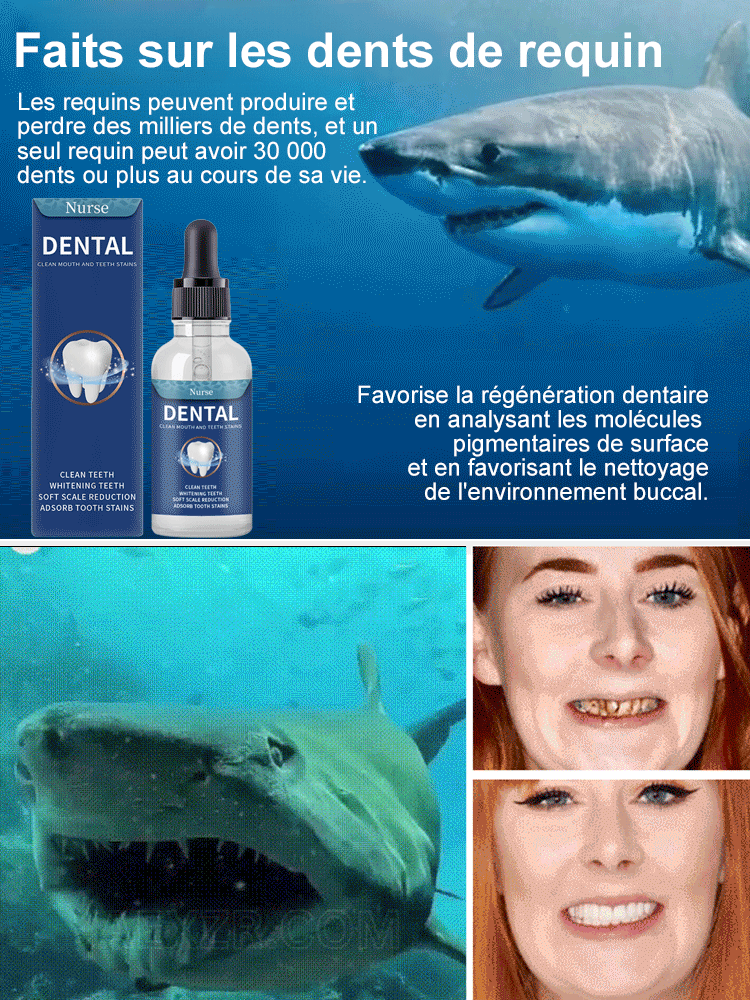 Gouttes de soin pour la régénération dentaire