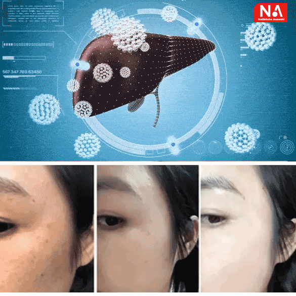 【加強型】奶薊草籽油靈芝人參葛根黃耆片