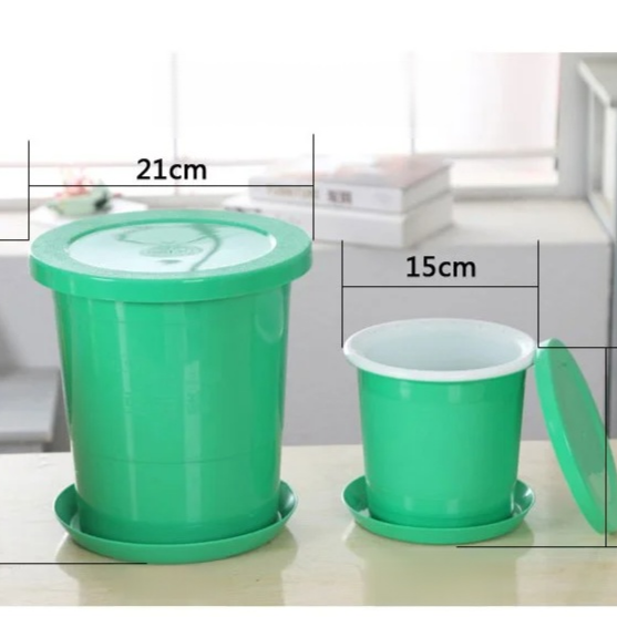 맥반석 콩나물 재배기