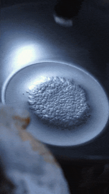 0-5_compressed.gif