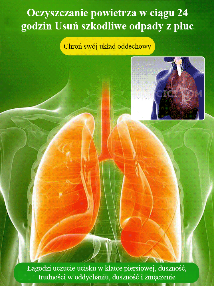 【Szczęście się odwraca】Hydroponiczna szczęśliwa roślina w doniczce