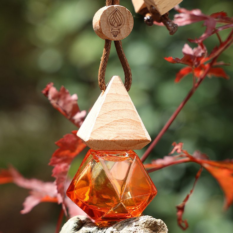 자동차용 방향제 걸이