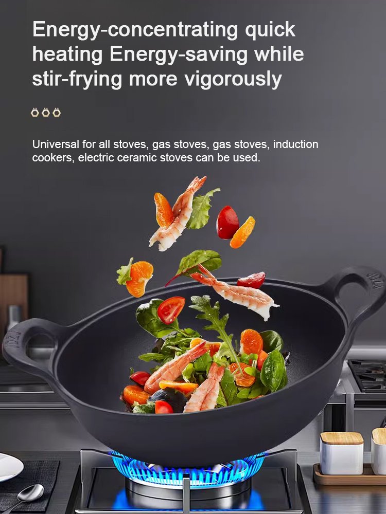 Double ear cast iron pot