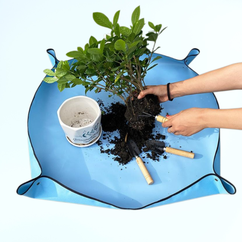 植物の植え替え、ポトスや多肉植物の鉢替え、フラワーマット