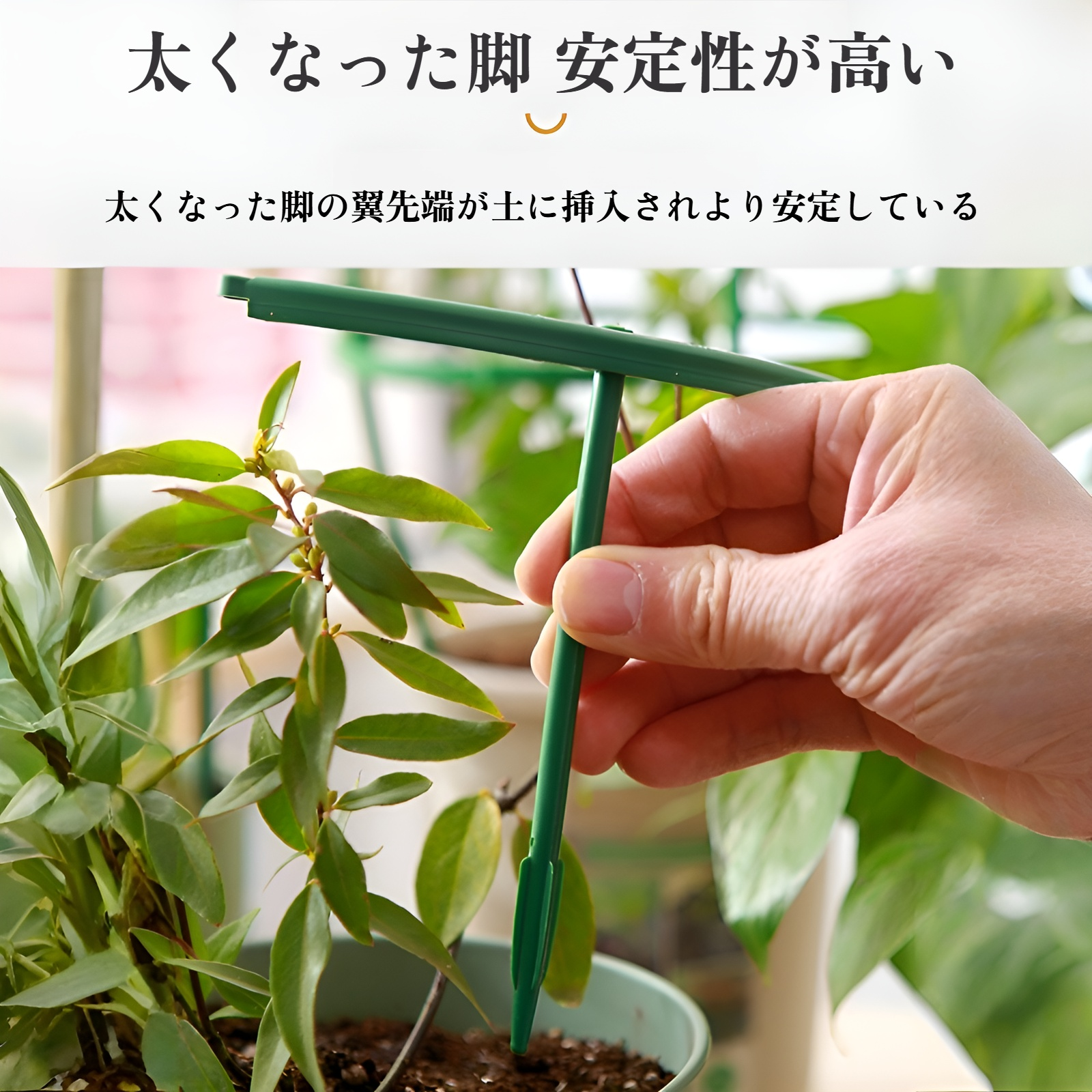 植物を支える園芸用サポートスタンド