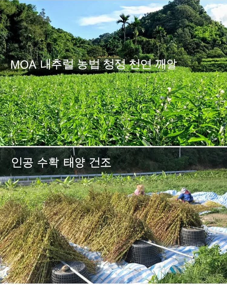 红枣糕_15.jpg
