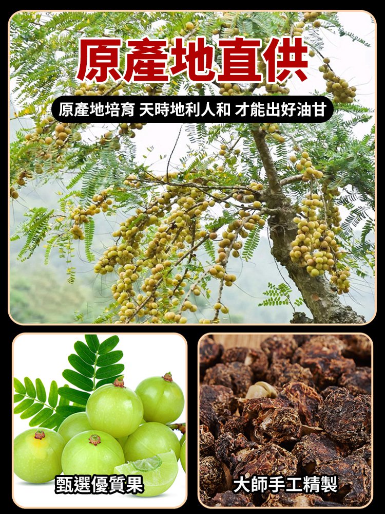 【治百病】黃金特級油甘茶