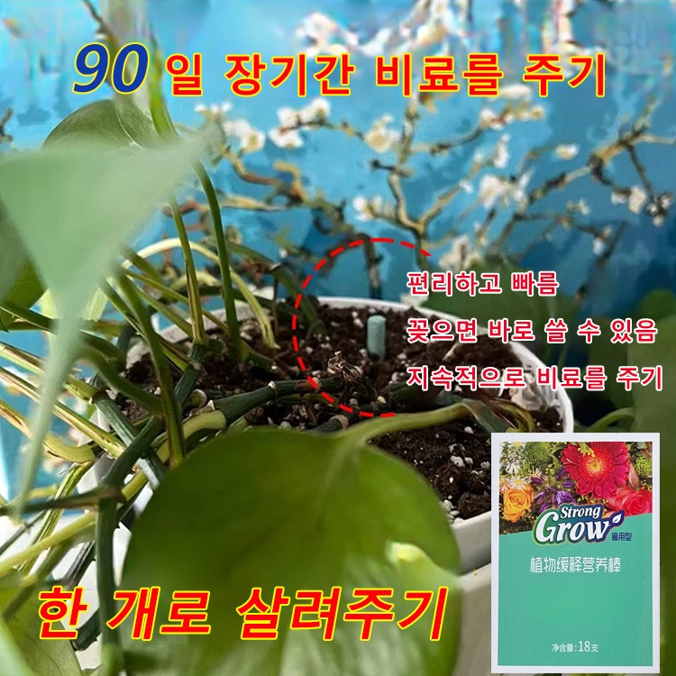 통용형 식물 방출조절 영양봉