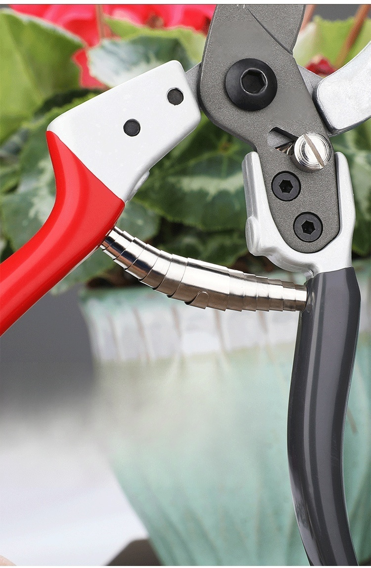 Sekator do precyzyjnego przycinania gałęzi