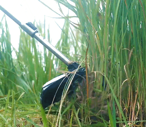 286394df52054c1f76a37e8ba21a82df.gif