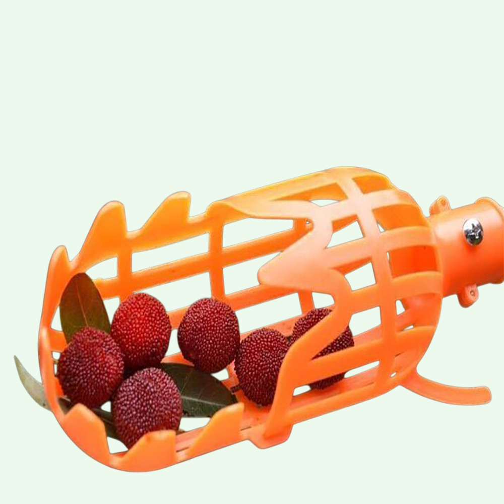 Pruning Shears for Orchard Maintenance  Perfect Tool for Trimming and Harvesting