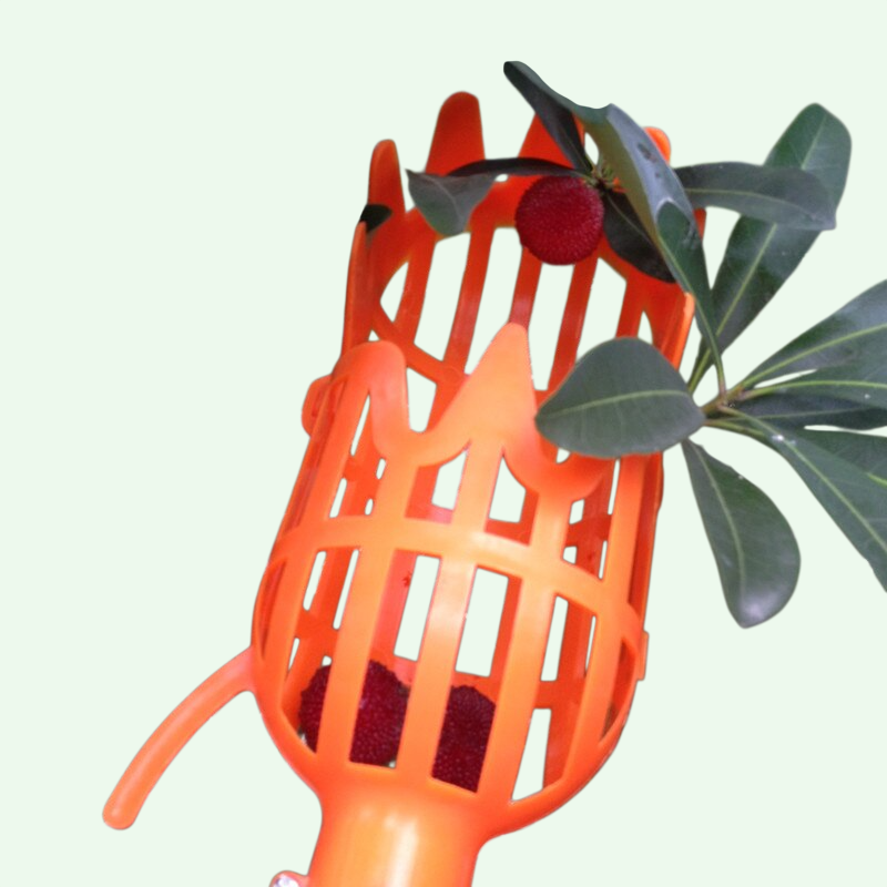 Pruning Shears for Orchard Maintenance  Perfect Tool for Trimming and Harvesting