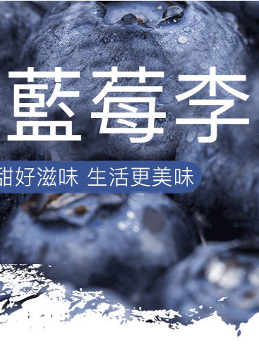 【台灣本土】特級無蔗糖藍莓果乾