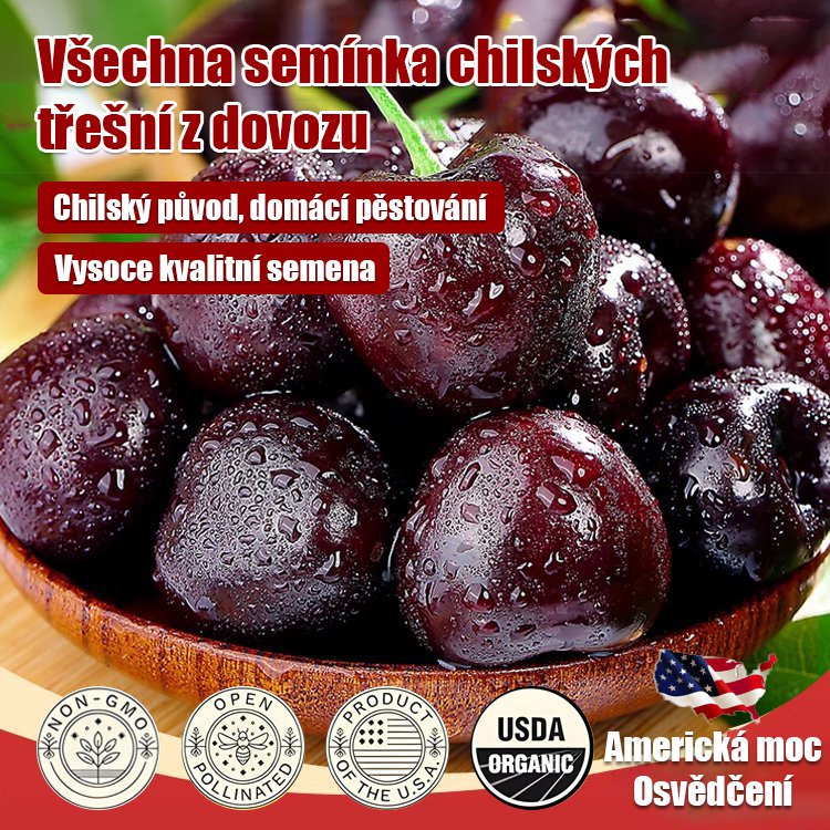 Dovezená semena chilské třešně