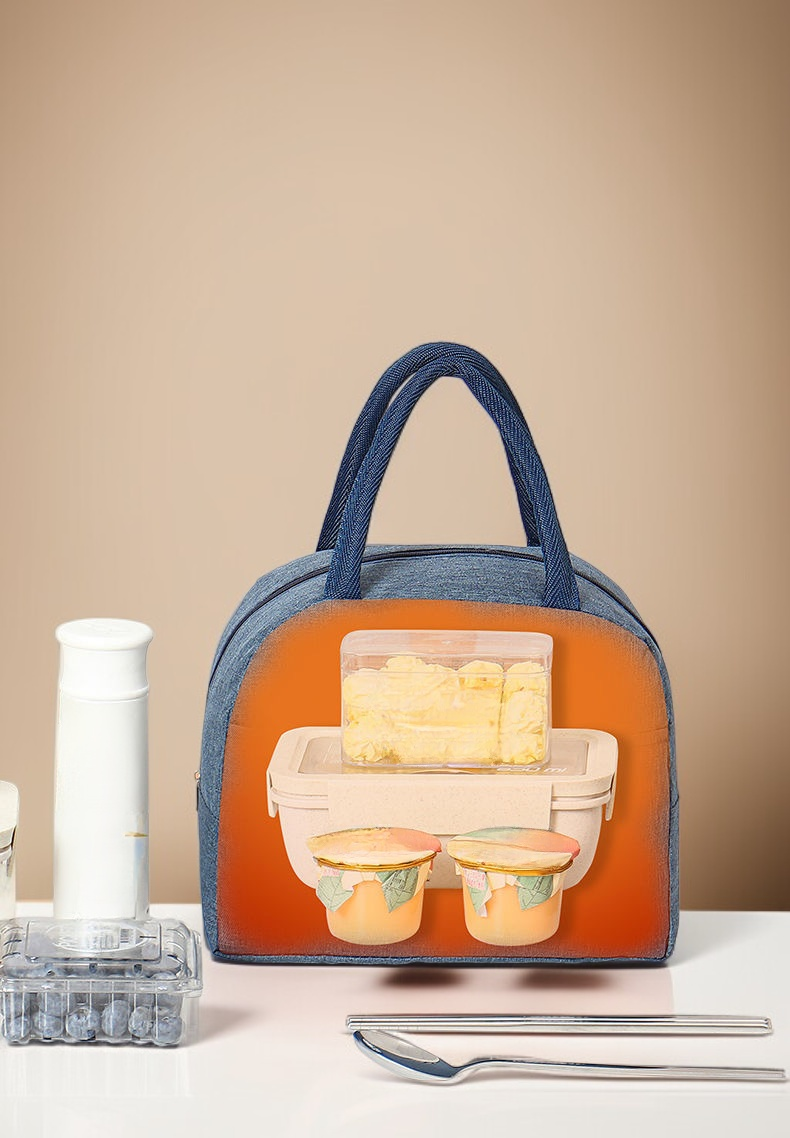 양이온 소재의 고급스러운 점심 가방