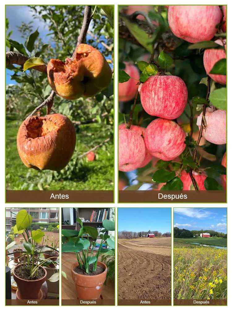 Mejorador de fertilizante para plantas