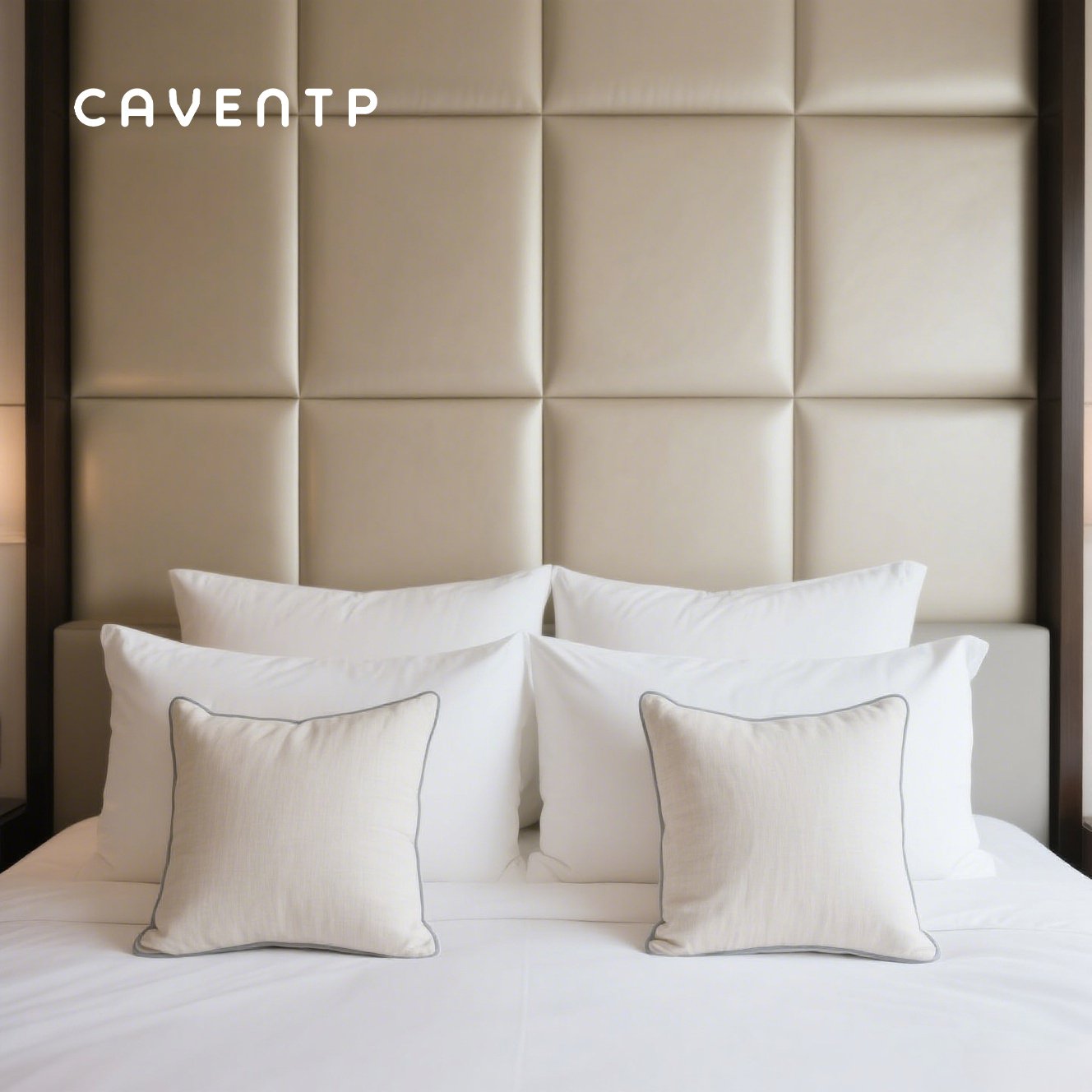 Kissen aus reiner Baumwolle und Seide