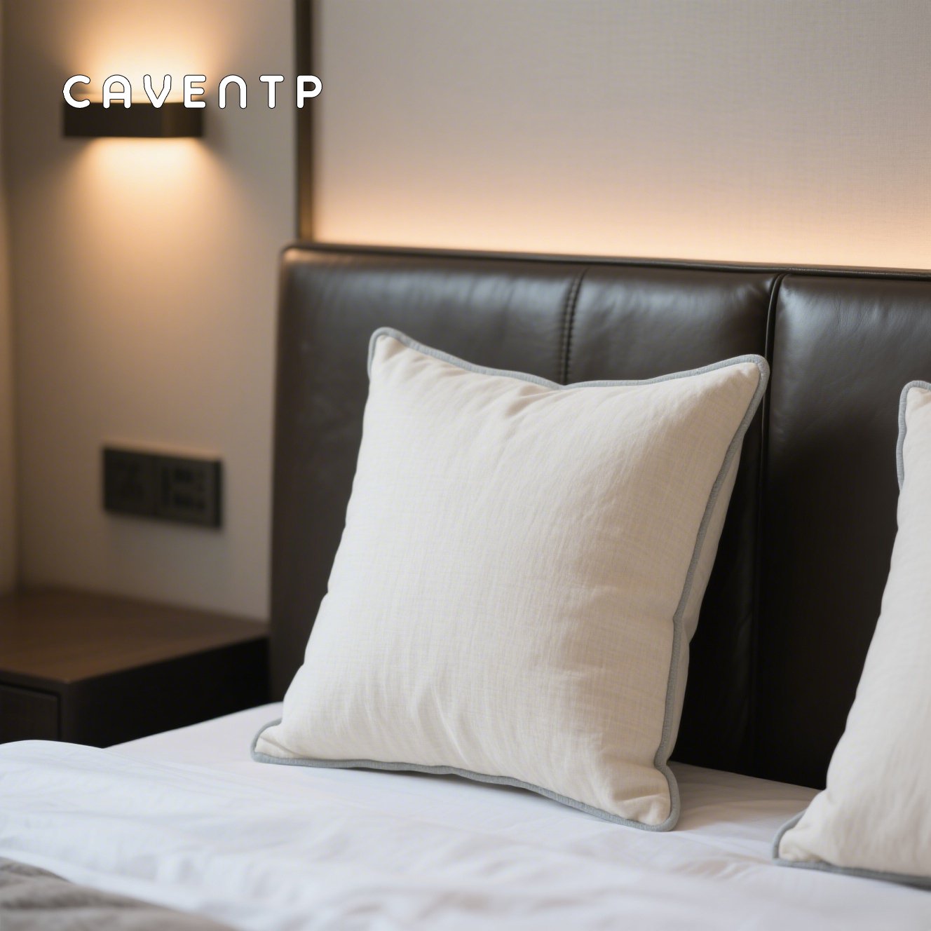 Kissen aus reiner Baumwolle und Seide