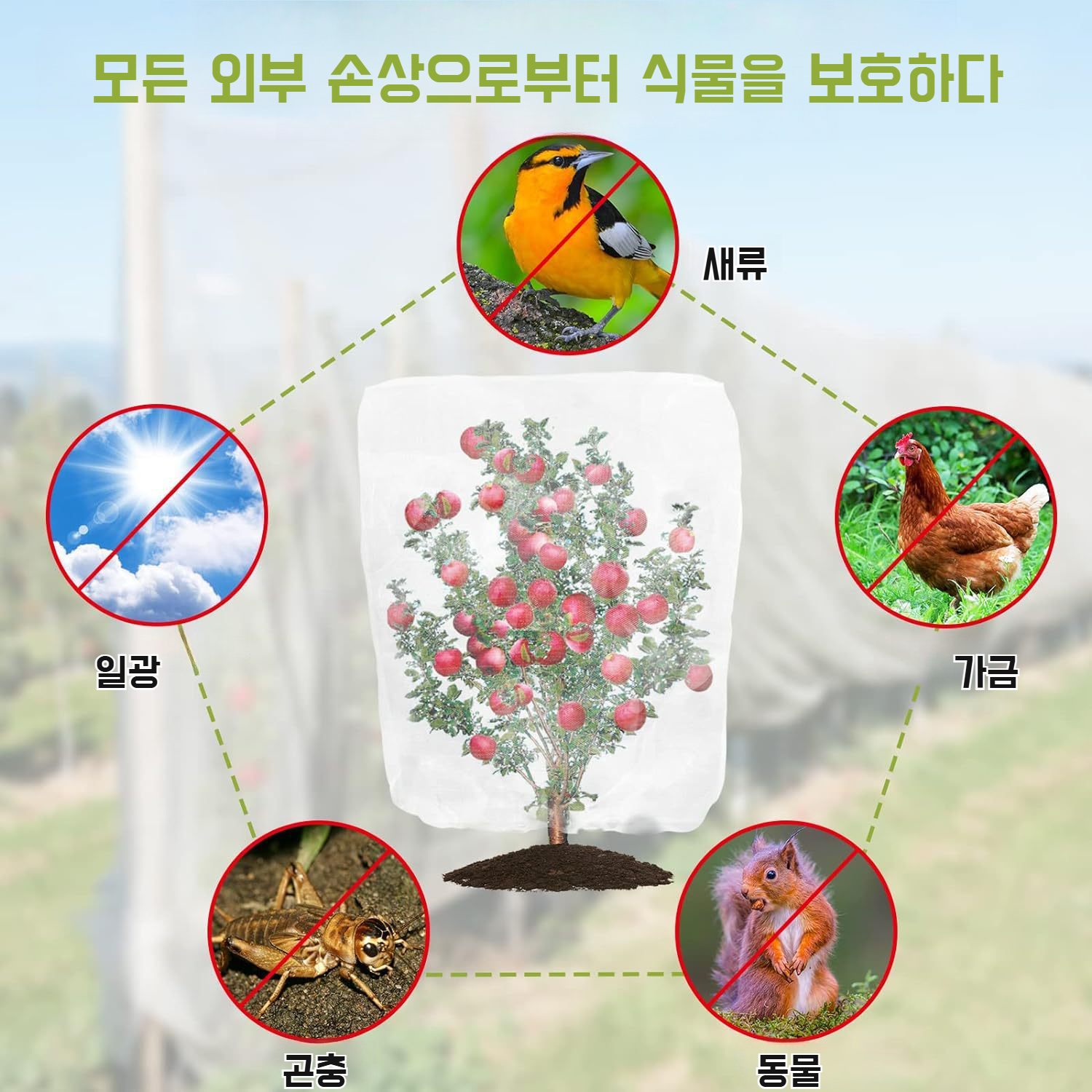 농업용 방충망덮개 전체 모습