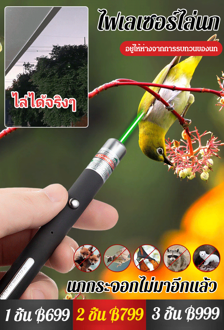 【พลังงานสูงพิเศษ】ไฟเลเซอร์ไล่นก