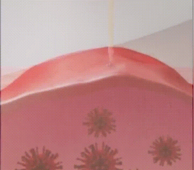 翻译件-X2022102703H-South-Moon紫花地丁皮肤止痒修护膏-wz_19.gif