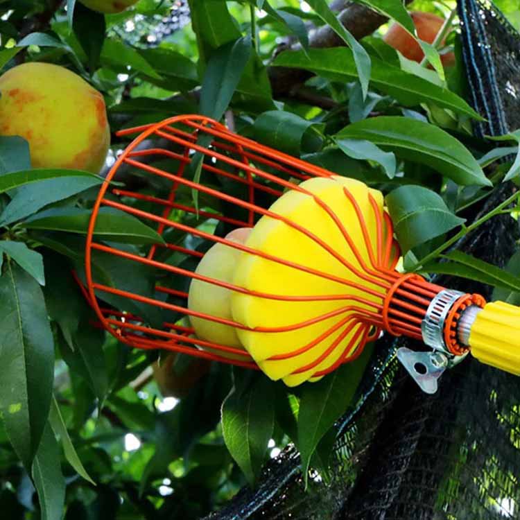 Obstpflücker für große Höhen