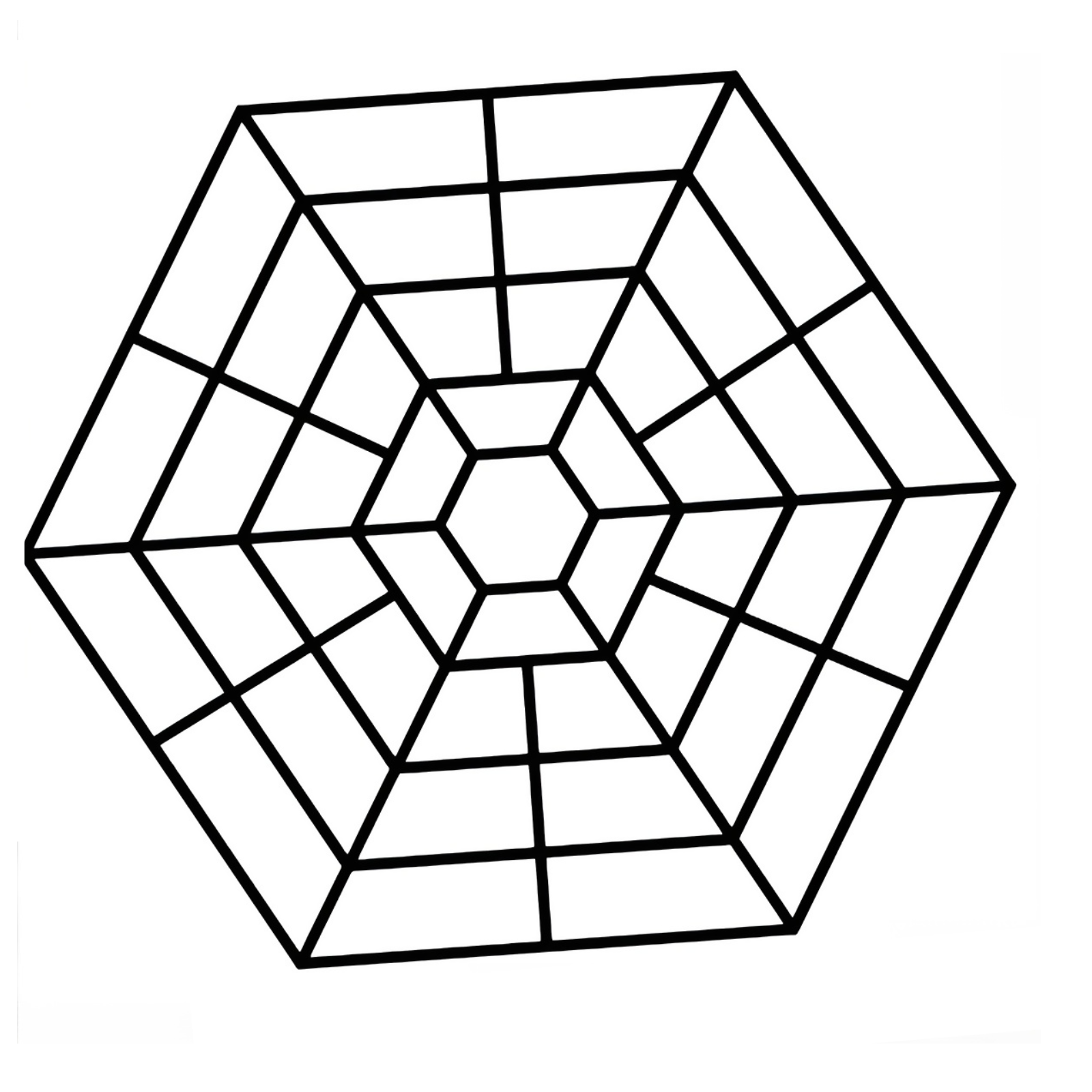 Sada 20 šestihranných ochranných sítí na ryby