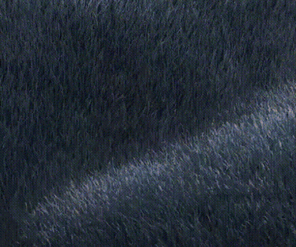 9e71df86699ce1e0c073a44df49048ca7010111141005473134TW2a4deae26d0dad69d2b3d2b30bcca026e.gif