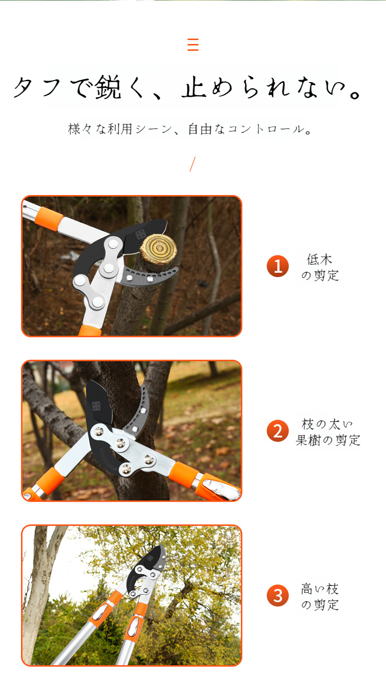 果樹の剪定に最適なタフな剪定鋏のクローズアップ